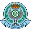 royal saudi air force logo